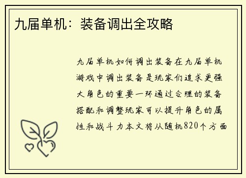 九届单机：装备调出全攻略
